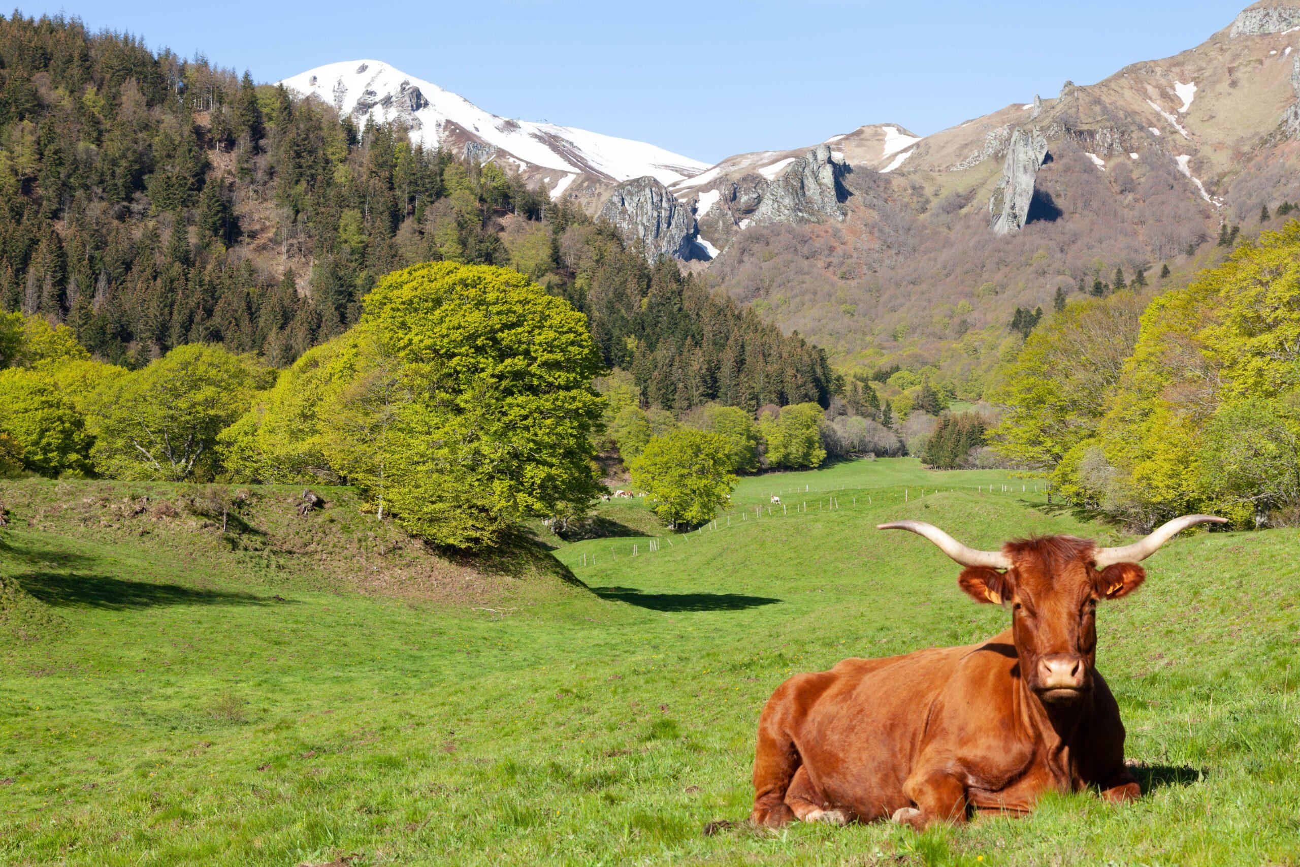 don auvergne-rhône-alpes