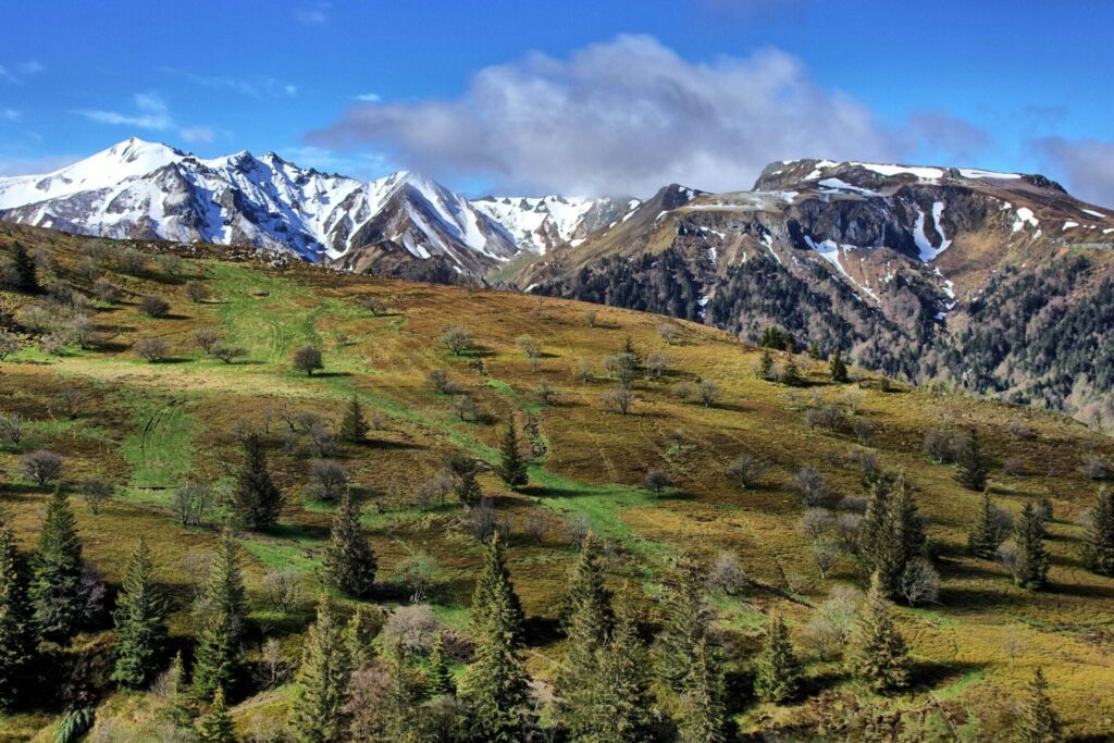 don auvergne-rhône-alpes