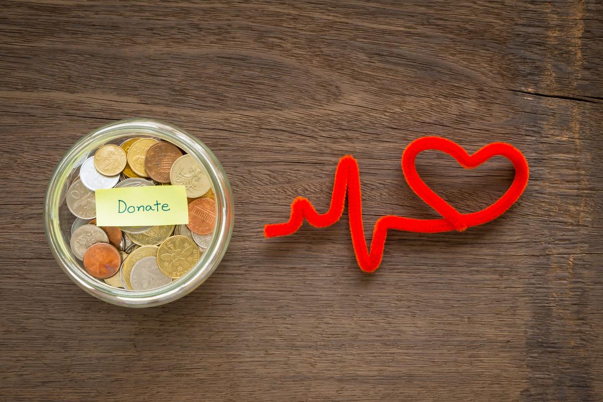 causes prioritaires - le don en France 2022