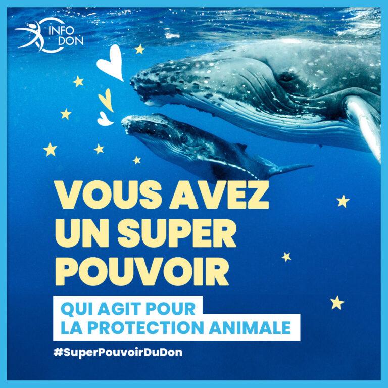 Vous avez un super pouvoir du don qui agit pour la protection animale