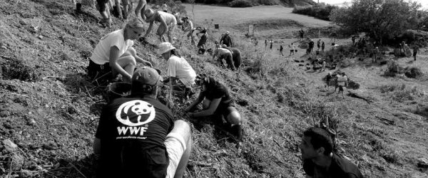 Etude de cas - WWF - impact des dons pour l'environnement