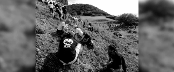 Etude de cas - WWF - impact des dons pour l'environnement