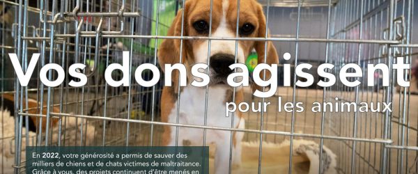 Vos dons agissent 2022 pour les animaux (texte)