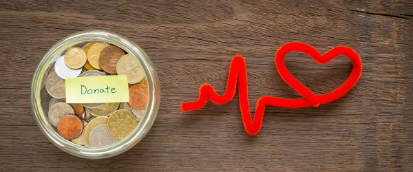 causes prioritaires - le don en France 2022