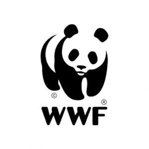 WWF