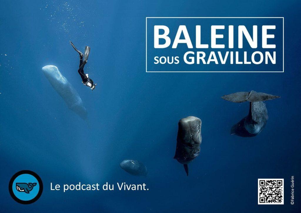 Visuel Baleine sous gravillon BD - podcast soif de sens podcasthon 2024